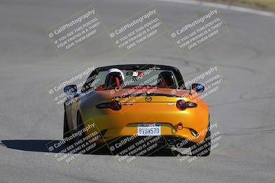 media/Nov-19-2023-Extreme Speed (Sun) [[bd0eec5490]]/Purple/Back Shots/